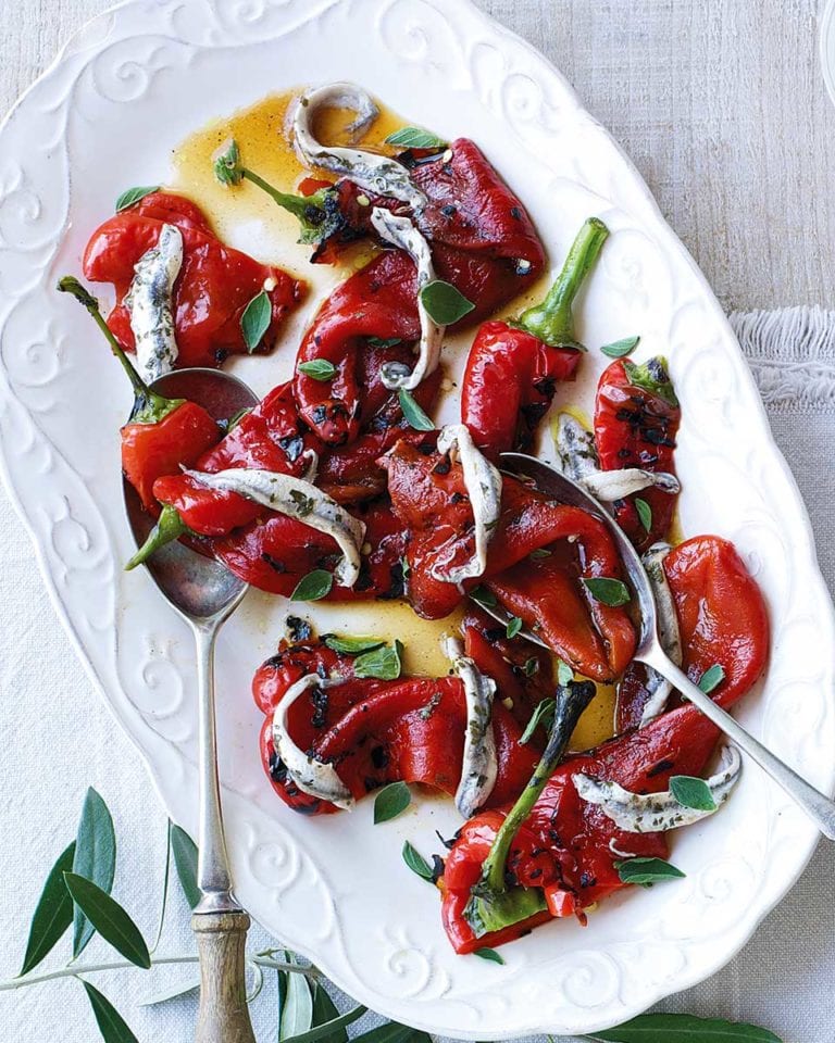 19 Italian Salad Recipes for 2024